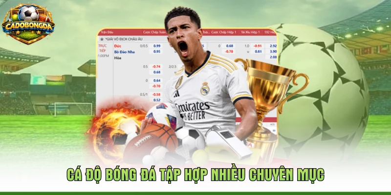 Cá Độ Bóng Đá tập hợp nhiều chuyên mục