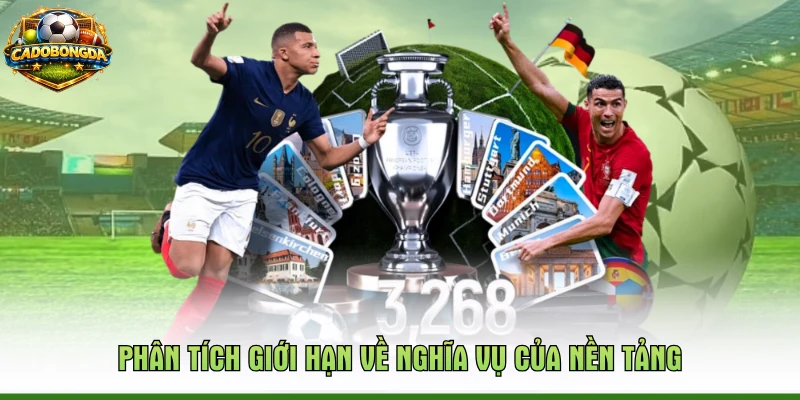 Phân tích giới hạn về nghĩa vụ của nền tảng