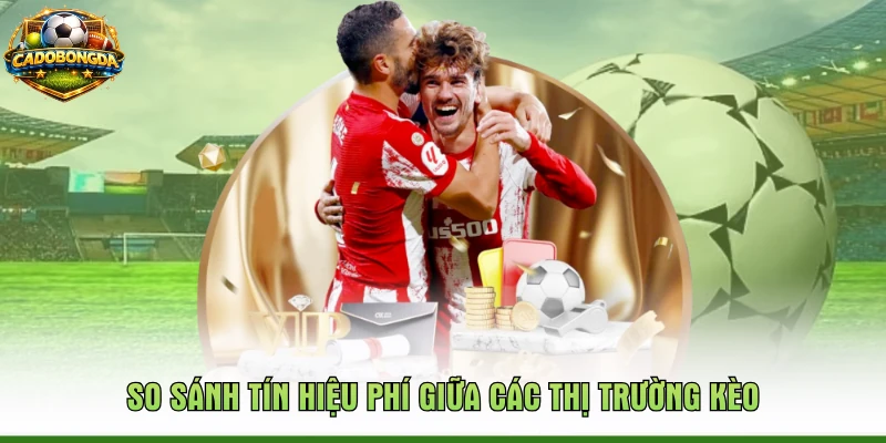 So sánh tín hiệu phí giữa các thị trường