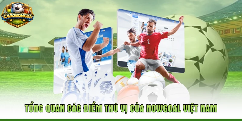 Tổng quan các điểm thú vị của Nowgoal Việt Nam
