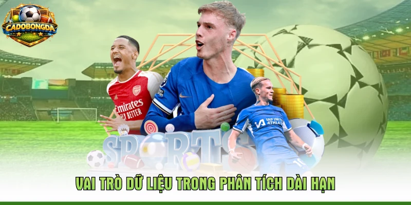 Vai trò dữ liệu trong phân tích dài hạn